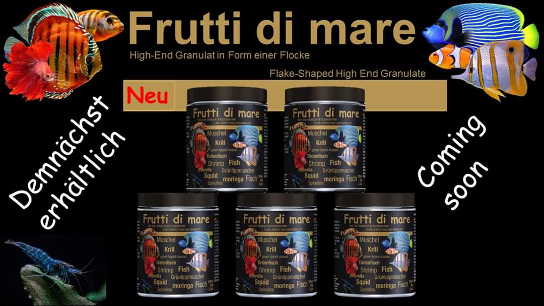 frutti di mare