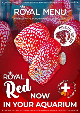 ROYAL MENU RED  veľkosť XL Pre  >15cm